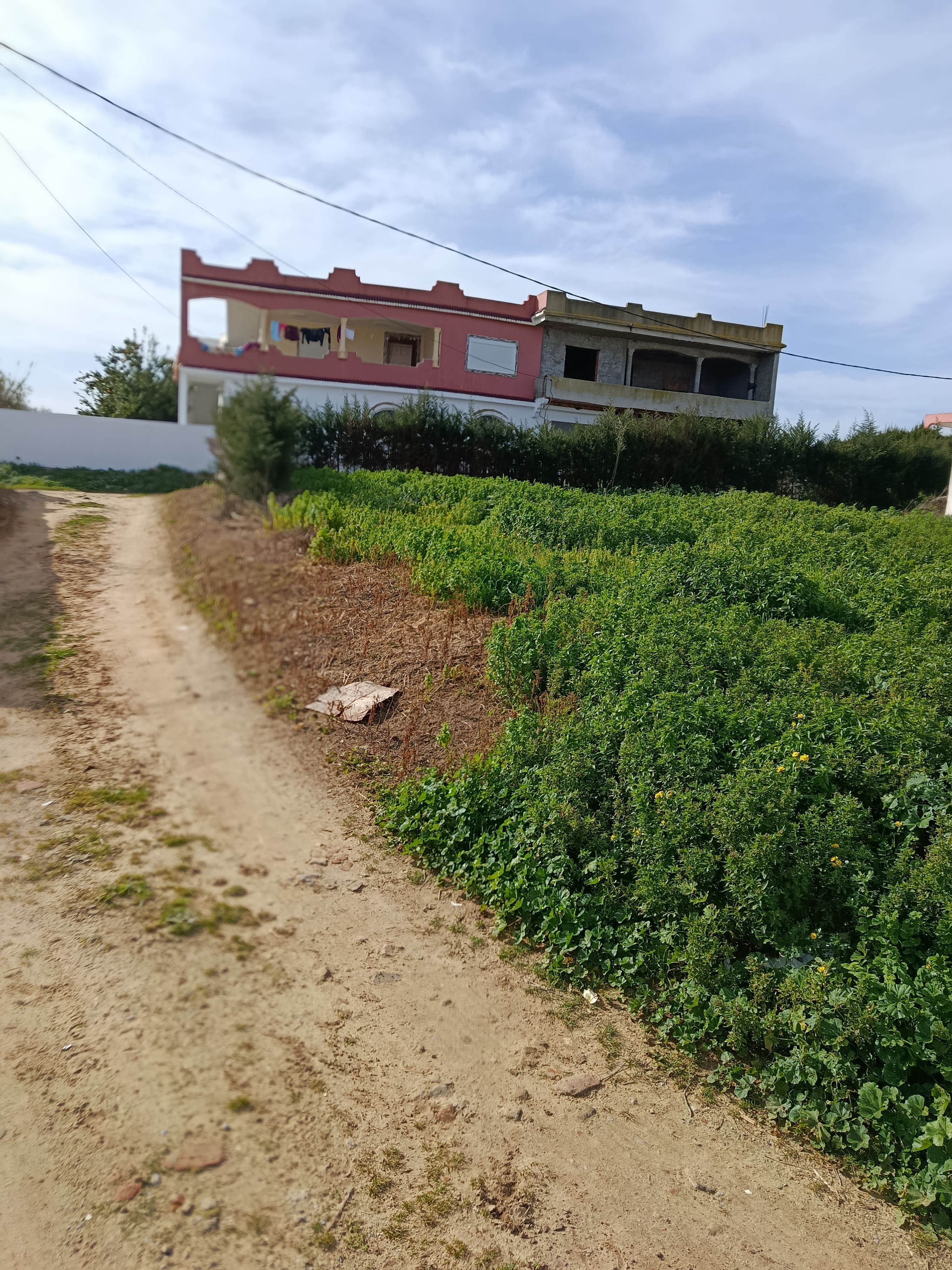 Ras Jebel&nbsp;El Garia Ras Jebal&nbsp;Terrain&nbsp;Terrain nu&nbsp;Terrain de construction