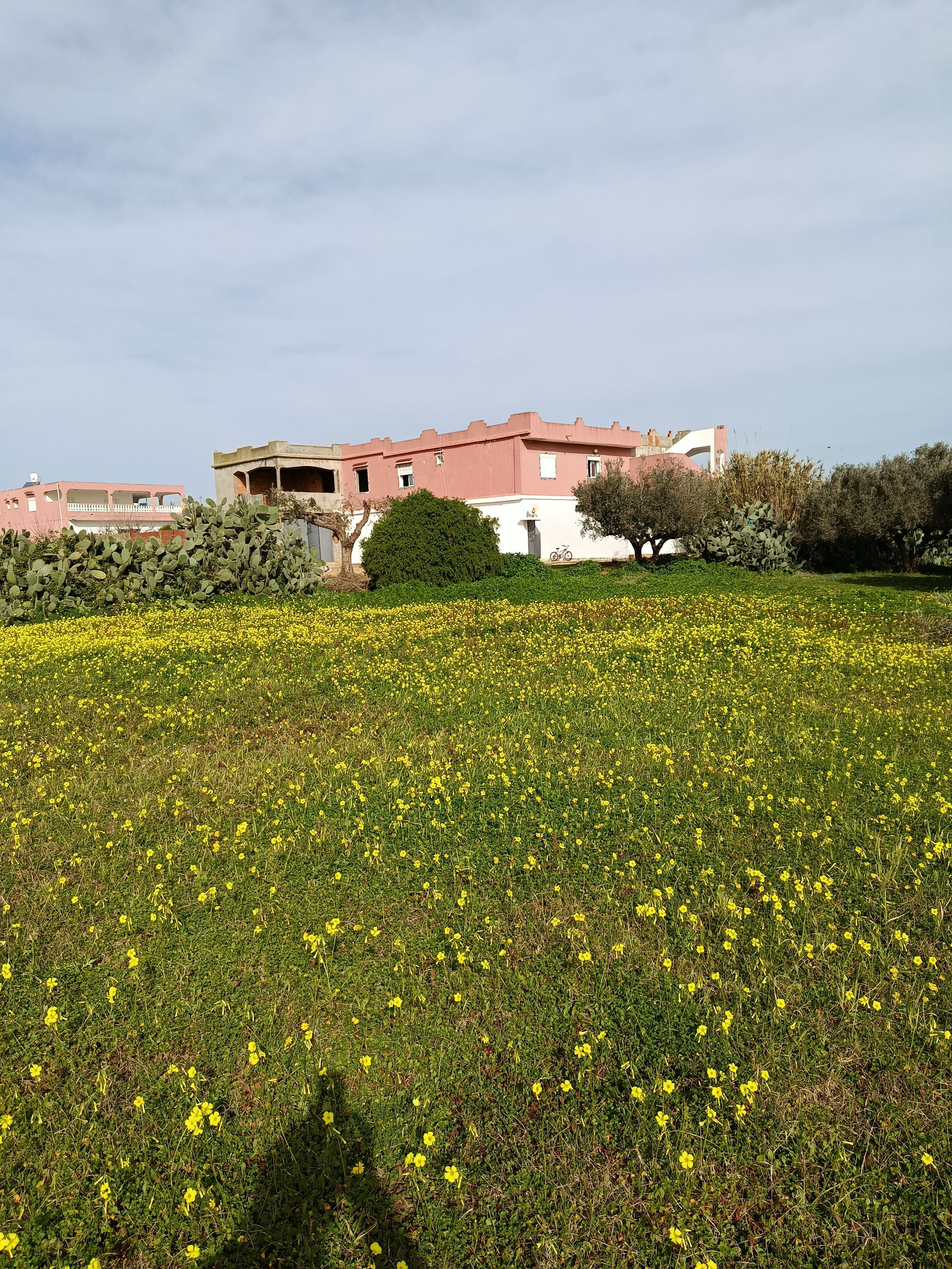 Ras Jebel&nbsp;El Garia Ras Jebal&nbsp;Terrain&nbsp;Terrain nu&nbsp;Terrain de construction
