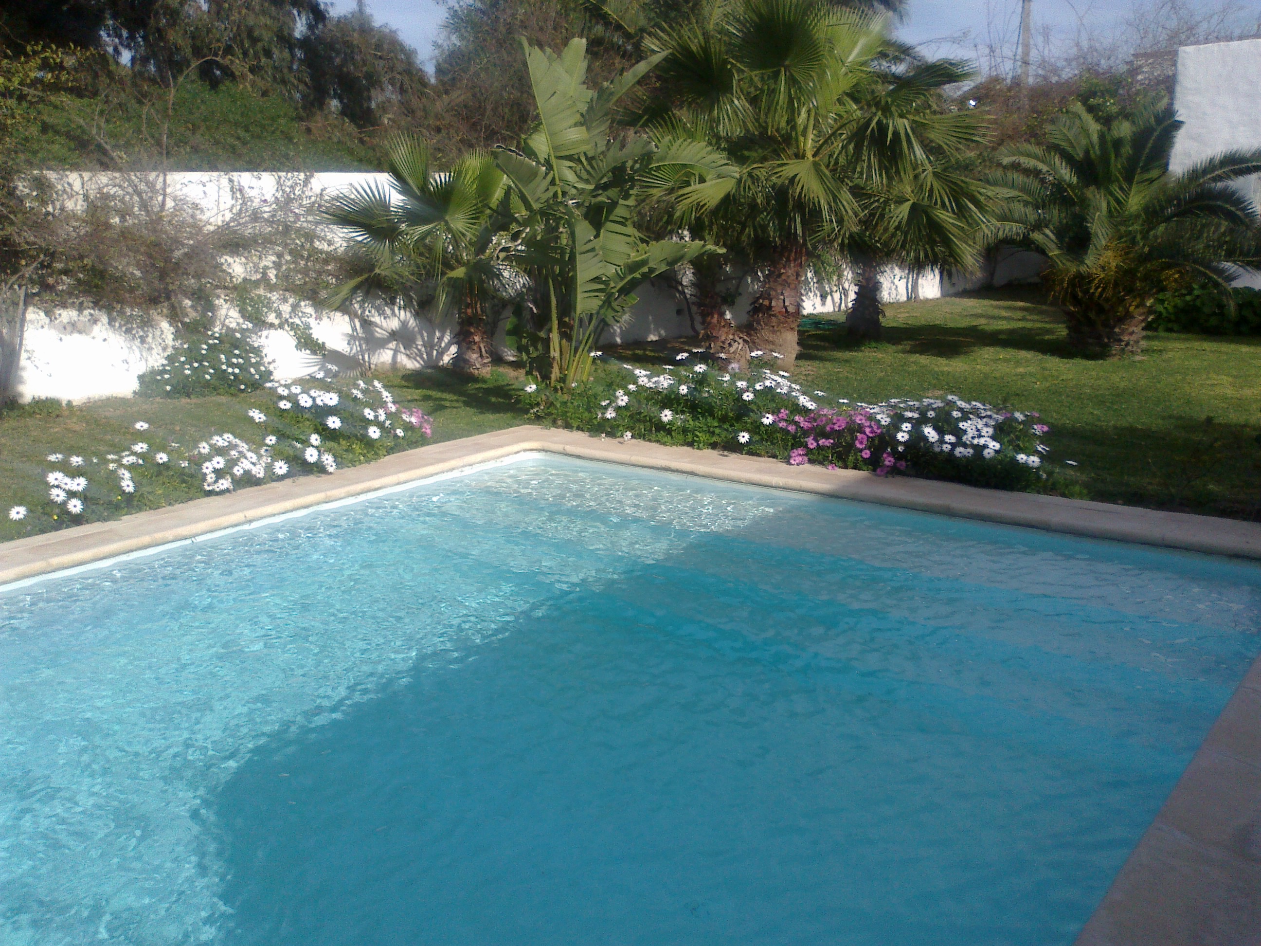 La Marsa&nbsp;Gammart&nbsp;Location&nbsp;Maisons&nbsp;Belle villa de maitre avec grande piscine