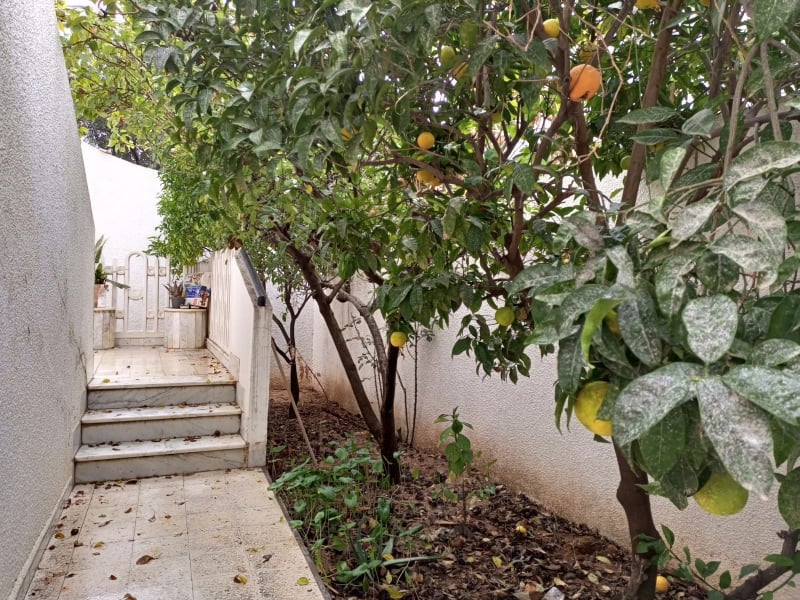 Ariana Ville&nbsp;Ariana&nbsp;Location&nbsp;Duplex&nbsp;Ariana sup�rieur duplex s5 ind�pendant