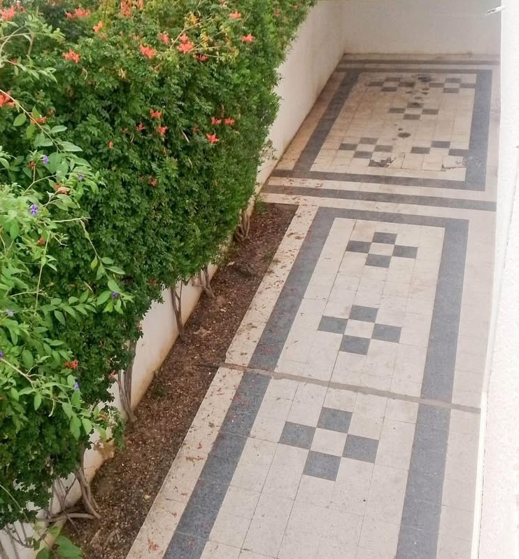 Ariana Ville&nbsp;El Menzah 8&nbsp;Location&nbsp;Duplex&nbsp;Menzah 8 villa s3 avec jardin et garage