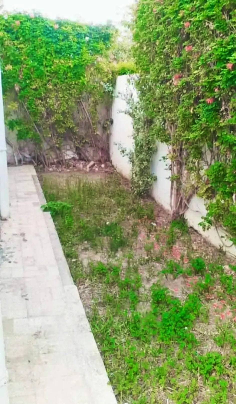 Ariana Ville&nbsp;Cite Ennasr 2&nbsp;Location&nbsp;Appart. 5 pi�ces+&nbsp;Ennasr 2 spacieux appt s4 avec jardin privative