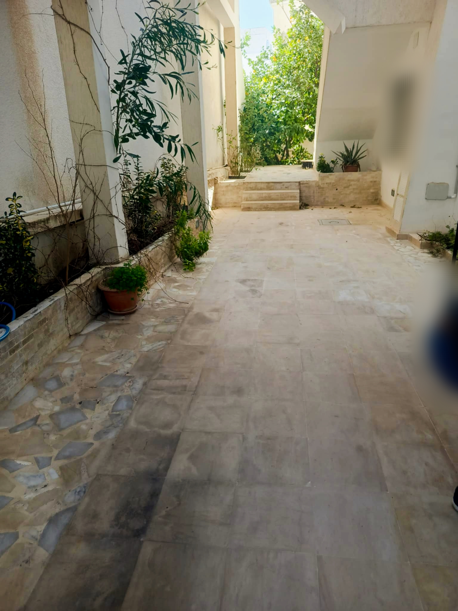 Mnihla&nbsp;Jardins d'el Menzah&nbsp;Location&nbsp;Maisons&nbsp;Jardins d'el menzah rdc de villa s4 bien situ�