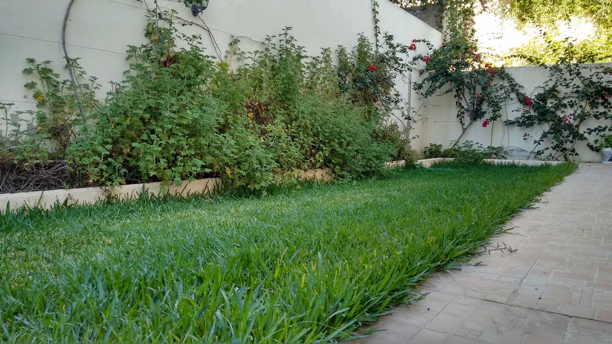 La Marsa&nbsp;Berge Du Lac&nbsp;Bureaux & Commerces&nbsp;Surfaces&nbsp;Espace haut standing avec jardin privatif 100m2