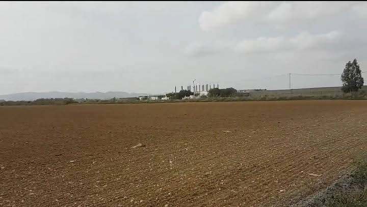 Raoued&nbsp;Borj Touil&nbsp;Terrain&nbsp;Terrain nu&nbsp;Promotion immobili�re