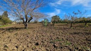 Nabeul&nbsp;Nabeul&nbsp;Vente&nbsp;Surfaces&nbsp;  terrain agricole de 3473m ref679a