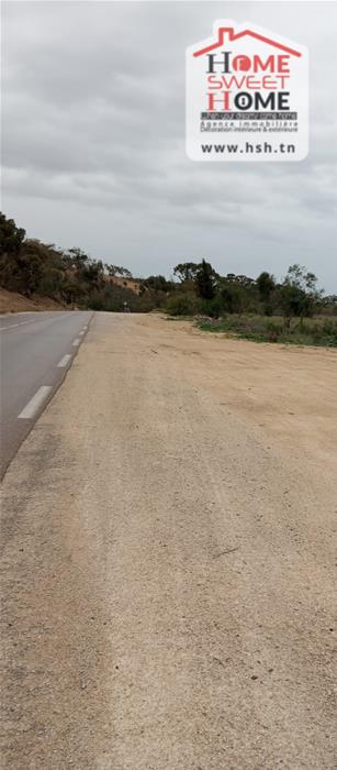 Testour&nbsp;Testour&nbsp;Terrain&nbsp;Terrain agricole&nbsp;Terrain agricole pluvia � testour