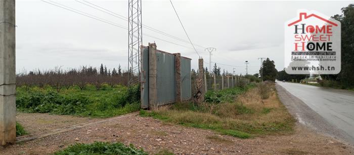 El Aroussa&nbsp;El Aroussa&nbsp;Terrain&nbsp;Terrain agricole&nbsp;Terrain agricole verdance � laaroussa siliana