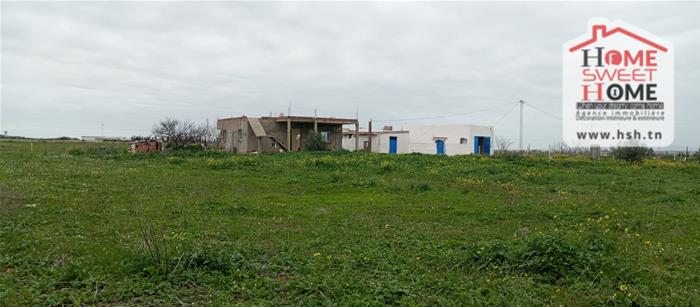 Borj El Amri&nbsp;Borj El Amri&nbsp;Terrain&nbsp;Terrain agricole&nbsp;Terrain agricole ardor � borj el amri