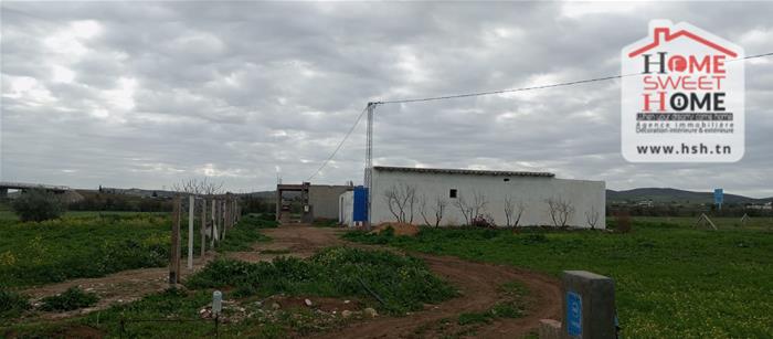 Borj El Amri&nbsp;Borj El Amri&nbsp;Terrain&nbsp;Terrain agricole&nbsp;Terrain agricole ardor � borj el amri