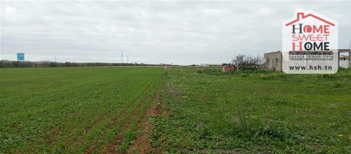 Borj El Amri&nbsp;Borj El Amri&nbsp;Terrain&nbsp;Terrain agricole&nbsp;Terrain agricole aroline � borj el amri