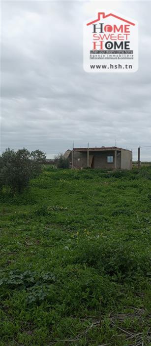 Borj El Amri&nbsp;Borj El Amri&nbsp;Terrain&nbsp;Terrain agricole&nbsp;Terrain agricole aroline � borj el amri