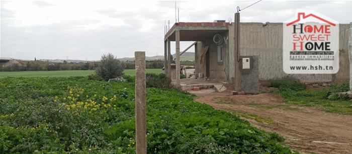 Borj El Amri&nbsp;Borj El Amri&nbsp;Terrain&nbsp;Terrain agricole&nbsp;Terrain agricole aroline � borj el amri