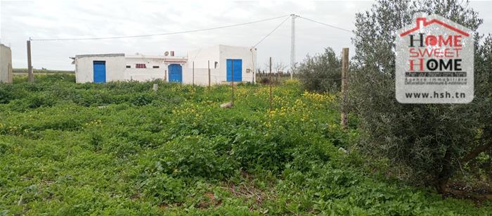 Borj El Amri&nbsp;Borj El Amri&nbsp;Terrain&nbsp;Terrain agricole&nbsp;Terrain agricole borlina � borj el amri