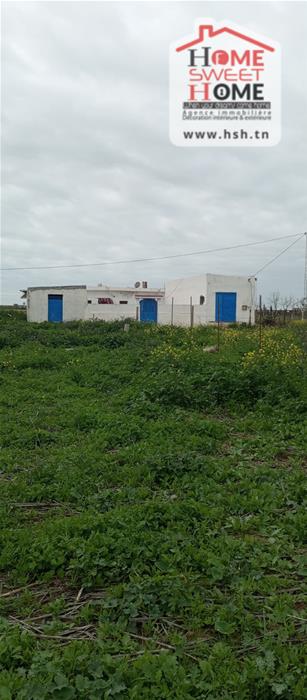 Borj El Amri&nbsp;Borj El Amri&nbsp;Terrain&nbsp;Terrain agricole&nbsp;Terrain agricole borlina � borj el amri