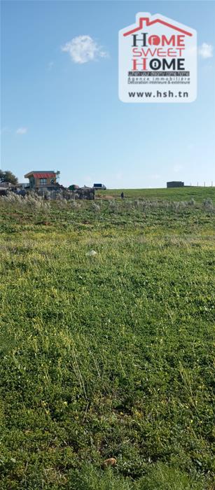 Mornaguia&nbsp;Mornaguia&nbsp;Terrain&nbsp;Terrain agricole&nbsp;Terrain agricole mornara � mornaguia