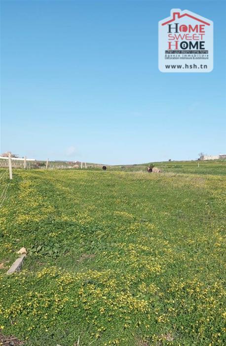 Mornaguia&nbsp;Mornaguia&nbsp;Terrain&nbsp;Terrain agricole&nbsp;Terrain agricole mornara � mornaguia