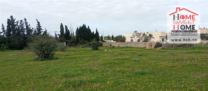 Jedaida&nbsp;Jedaida&nbsp;Terrain&nbsp;Terrain agricole&nbsp;Terrain promoteur promovia � jedaida