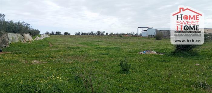 Jedaida&nbsp;Jedaida&nbsp;Terrain&nbsp;Terrain agricole&nbsp;Terrain promoteur promovia � jedaida