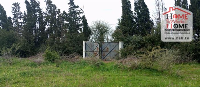 Jedaida&nbsp;Jedaida&nbsp;Terrain&nbsp;Terrain agricole&nbsp;Terrain promoteur promovia � jedaida