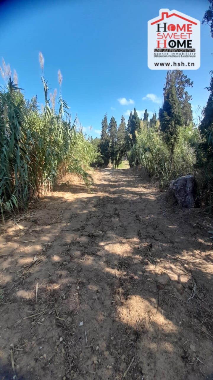 Ras Jebel&nbsp;Ras Jebel&nbsp;Terrain&nbsp;Terrain agricole&nbsp;Ferme rommana � sawnin ras jbal bizerte