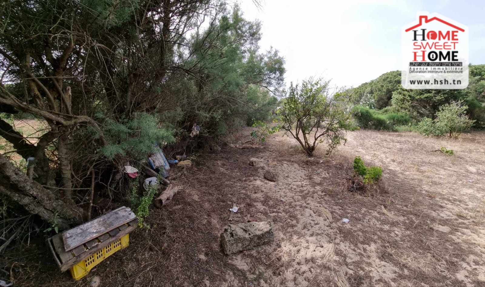 Ras Jebel&nbsp;Ras Jebel&nbsp;Terrain&nbsp;Terrain nu&nbsp;Terrain habitation karma � ras jbal bizerte