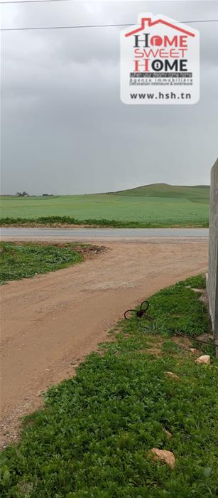 Mornaguia&nbsp;El Fejja&nbsp;Terrain&nbsp;Terrain agricole&nbsp;Terrain agricole fejterra � el fejja mornaguia