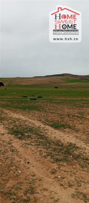 Mejez El Bab&nbsp;Mejez El Bab&nbsp;Terrain&nbsp;Terrain agricole&nbsp;Terrain agricole ecovia � mjez el beb