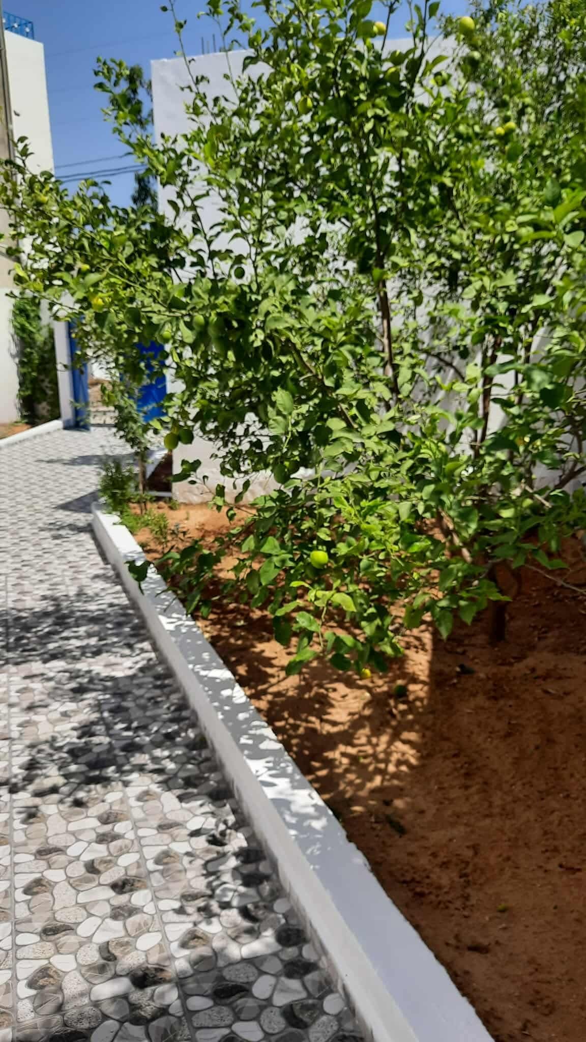 Mnihla&nbsp;Mnihla&nbsp;Vente&nbsp;Maisons&nbsp;Maison s�duisante � mnihla