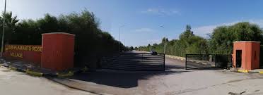 Raoued&nbsp;Cite Des Juges&nbsp;Terrain&nbsp;Terrain nu&nbsp;Flamand rose village bord de mer
