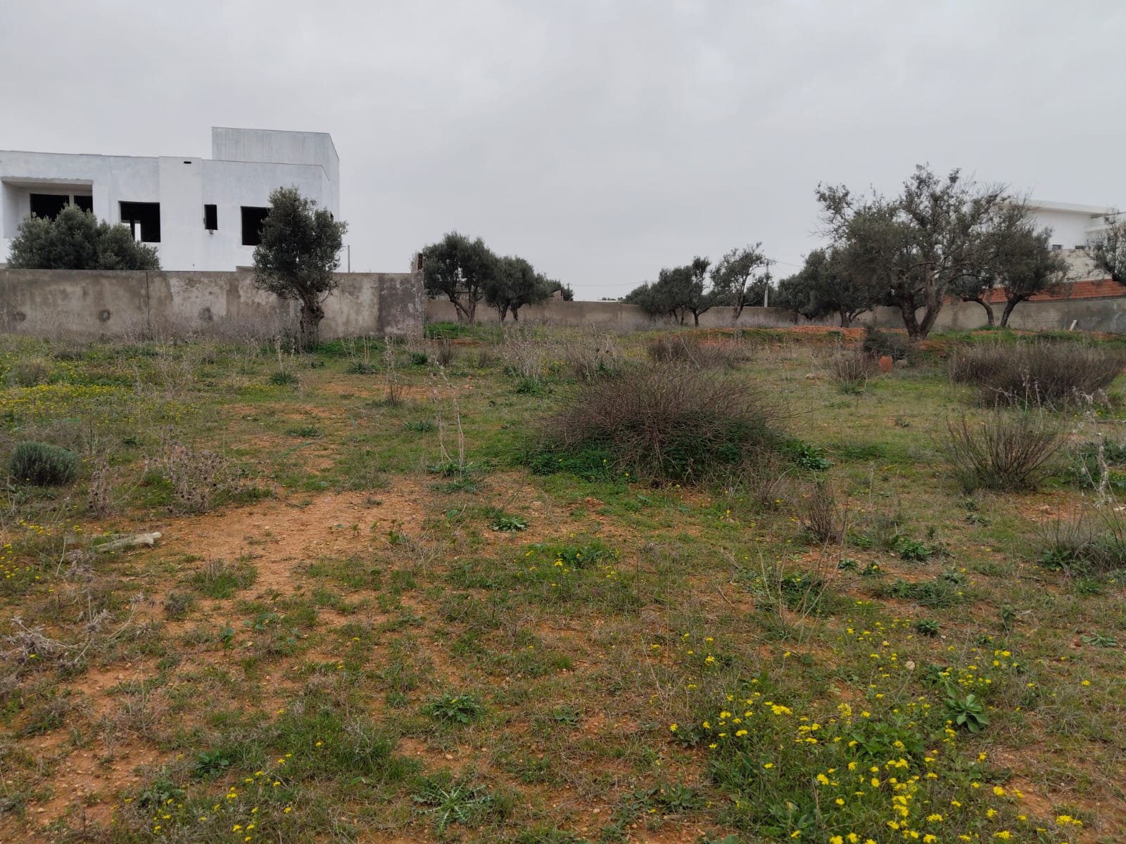 Sidi Thabet&nbsp;Borj Youssef&nbsp;Terrain&nbsp;Terrain nu&nbsp;Borj youssef vnt ter 1000m2