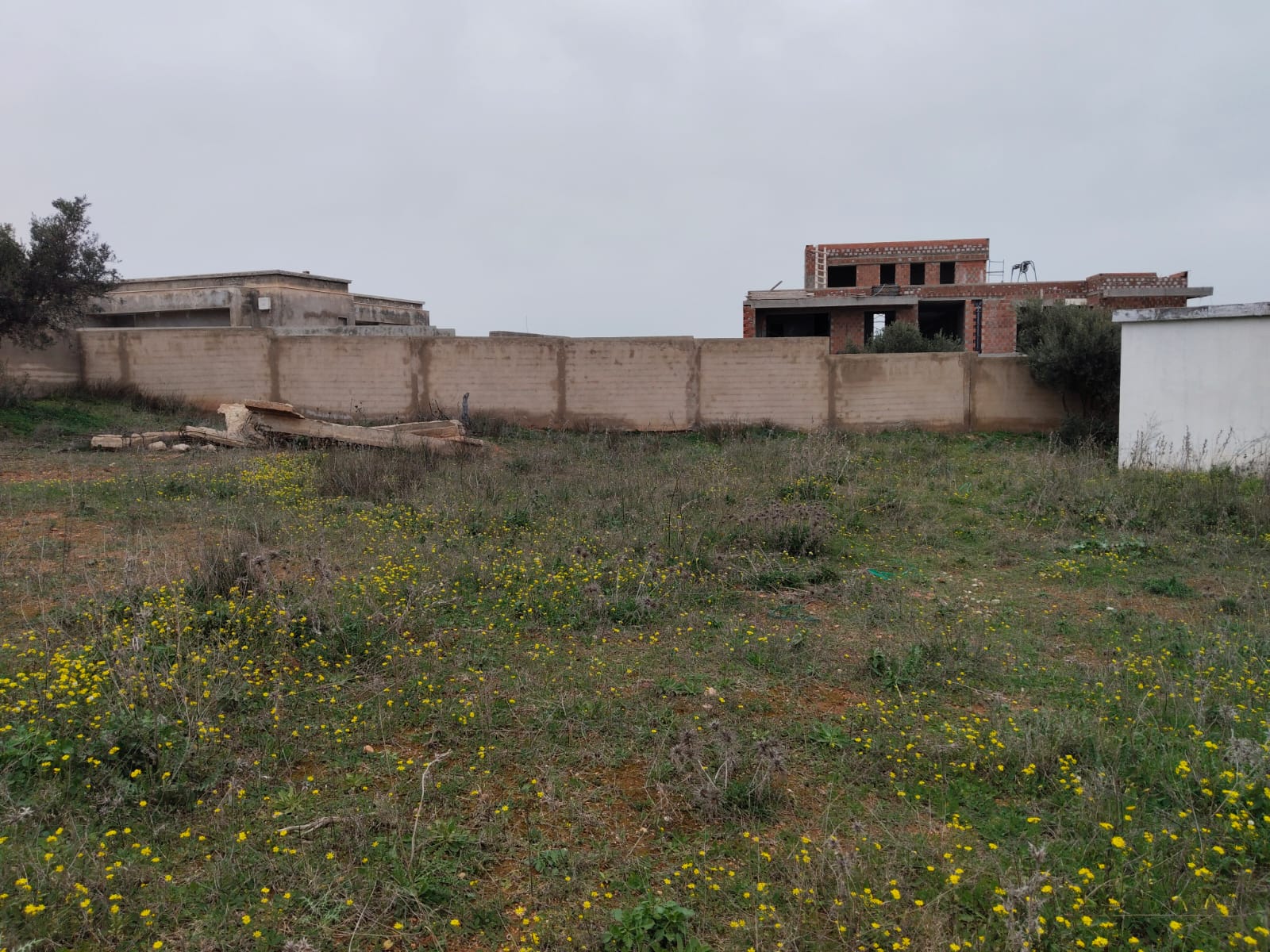 Sidi Thabet&nbsp;Borj Youssef&nbsp;Terrain&nbsp;Terrain nu&nbsp;Borj youssef vnt ter 2000m2 ref 1526