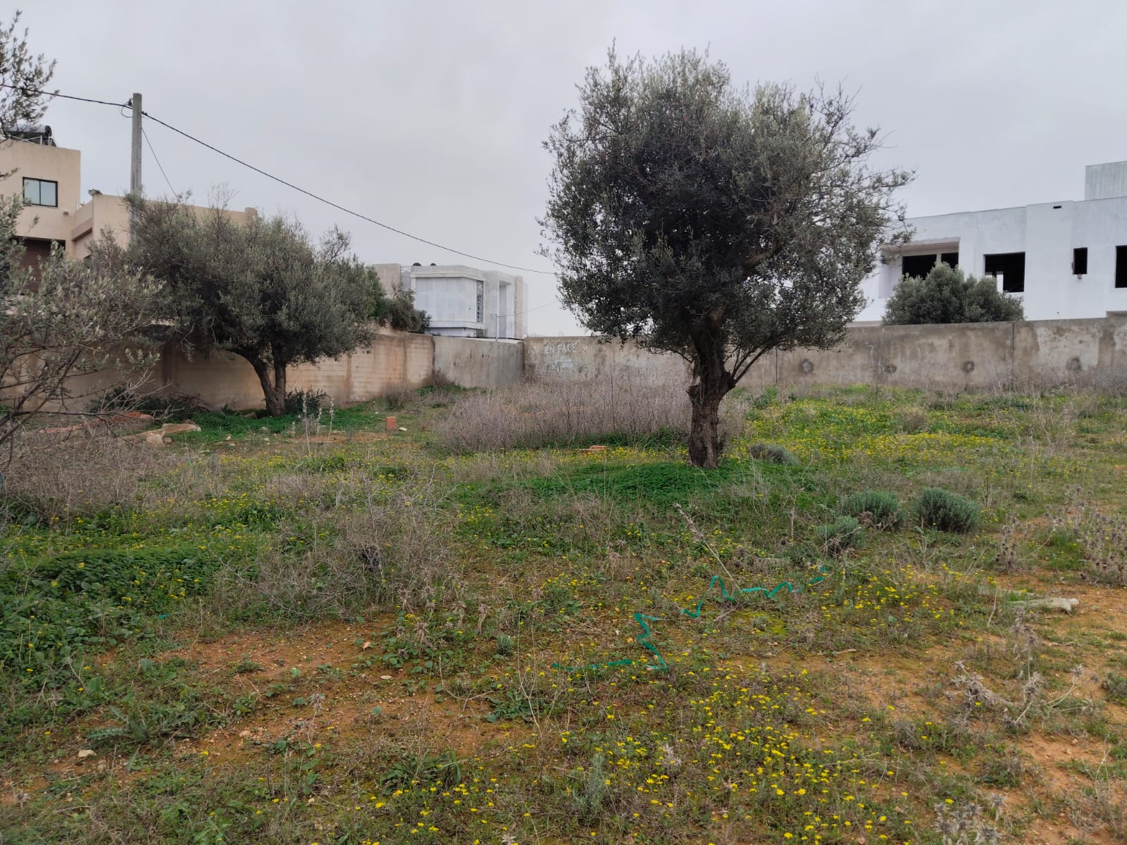 Sidi Thabet&nbsp;Borj Youssef&nbsp;Terrain&nbsp;Terrain nu&nbsp;Borj youssef vnt ter 2000m2 ref 1526