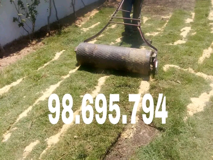 Borj El Amri&nbsp;Borj El Amri&nbsp;Jardinage&nbsp;Autre&nbsp;Gazon kikuyu france tunisie