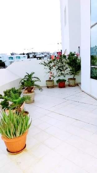 Ariana Ville&nbsp;Cite Ennasr 2&nbsp;Location&nbsp;Appart. 3 pi�ces&nbsp;S2 meubl� excellent pour �tranger � l'ann�e