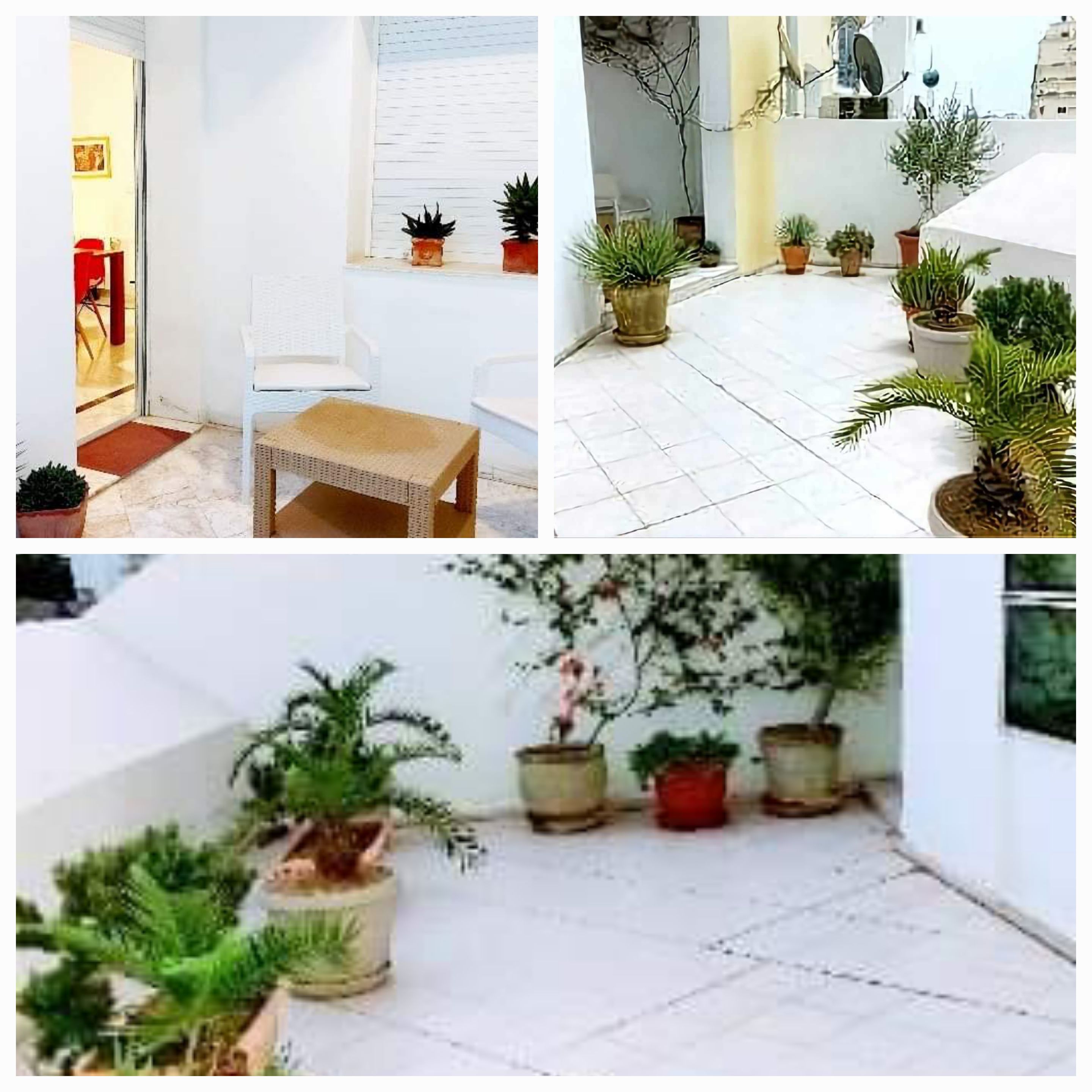 Ariana Ville&nbsp;Cite Ennasr 2&nbsp;Vente&nbsp;Appart. 3 pi�ces&nbsp;S2 �tat neuf ennasr2 habitation bureau