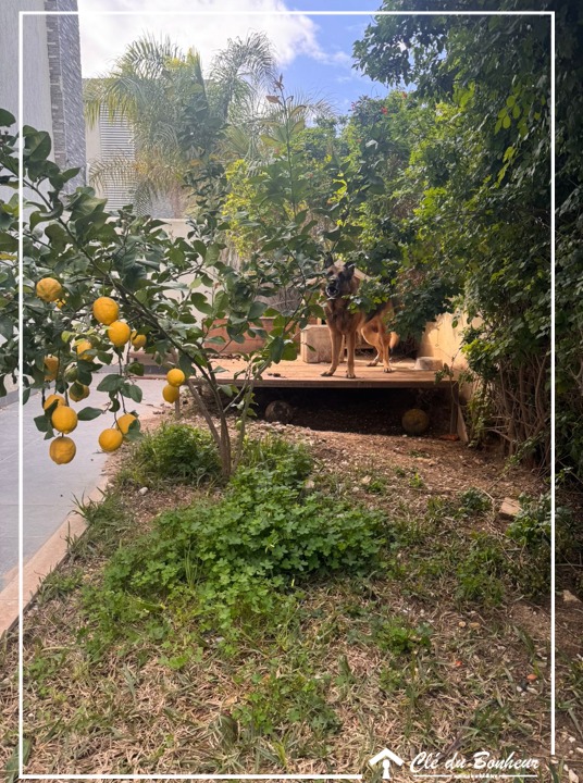 La Soukra&nbsp;Chotrana 1&nbsp;Vente&nbsp;Appart. 3 pi�ces&nbsp;Superbe appartement s3 avec grand jardin