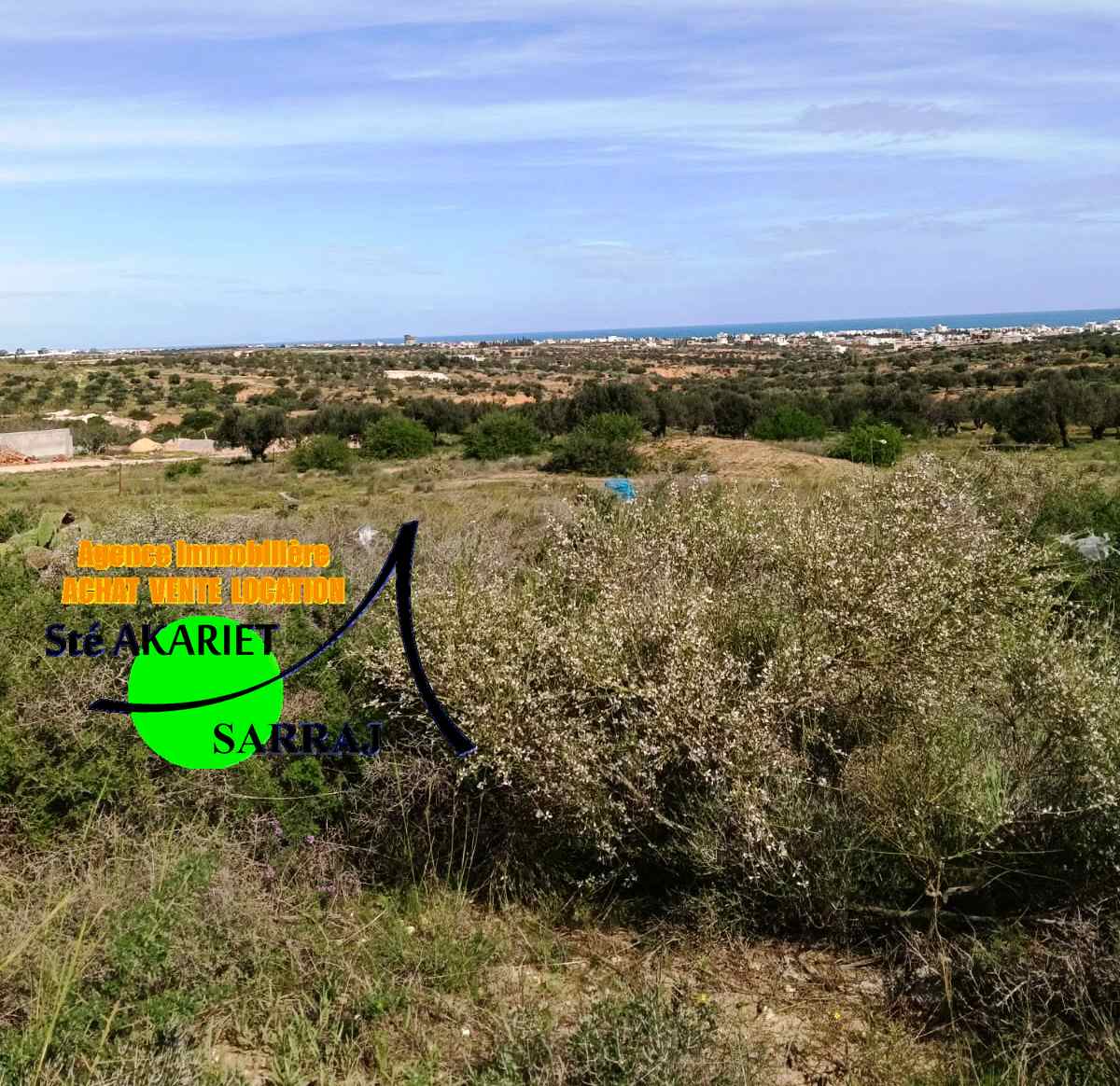 Akouda&nbsp;Akouda&nbsp;Terrain&nbsp;Terrain agricole&nbsp;Lot d'invesstisement 1hectare en face mall sousse