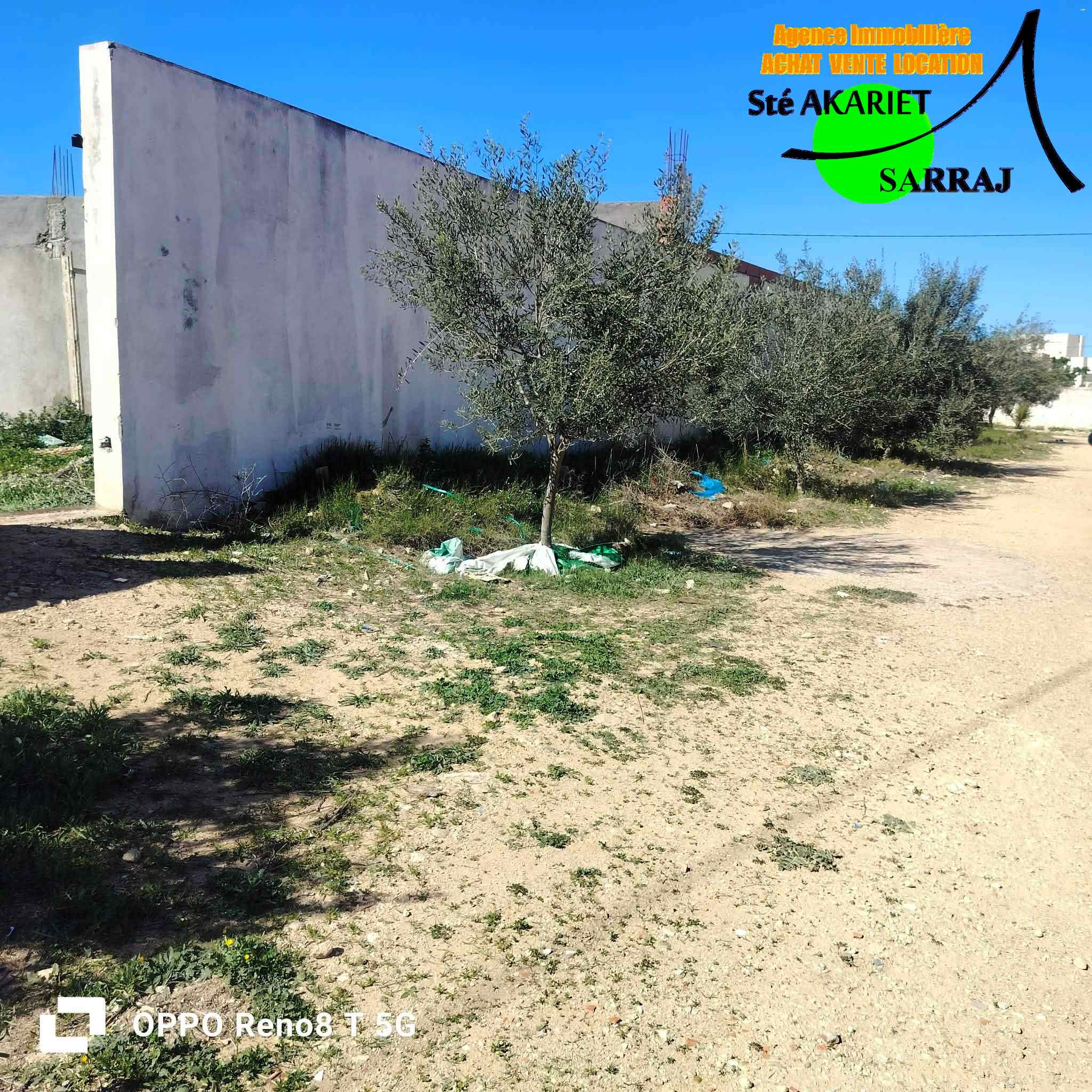 Kalaa Essghira&nbsp;Kalaa Essghira&nbsp;Terrain&nbsp;Terrain nu&nbsp;Terrain 616 � kal�a seghira pr�s cit� des m�d�cins