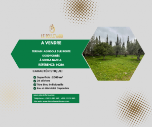 Beni Khiar&nbsp;Somaa&nbsp;Vente&nbsp;Surfaces&nbsp;A  terrain 2000m agricole  ref1421a