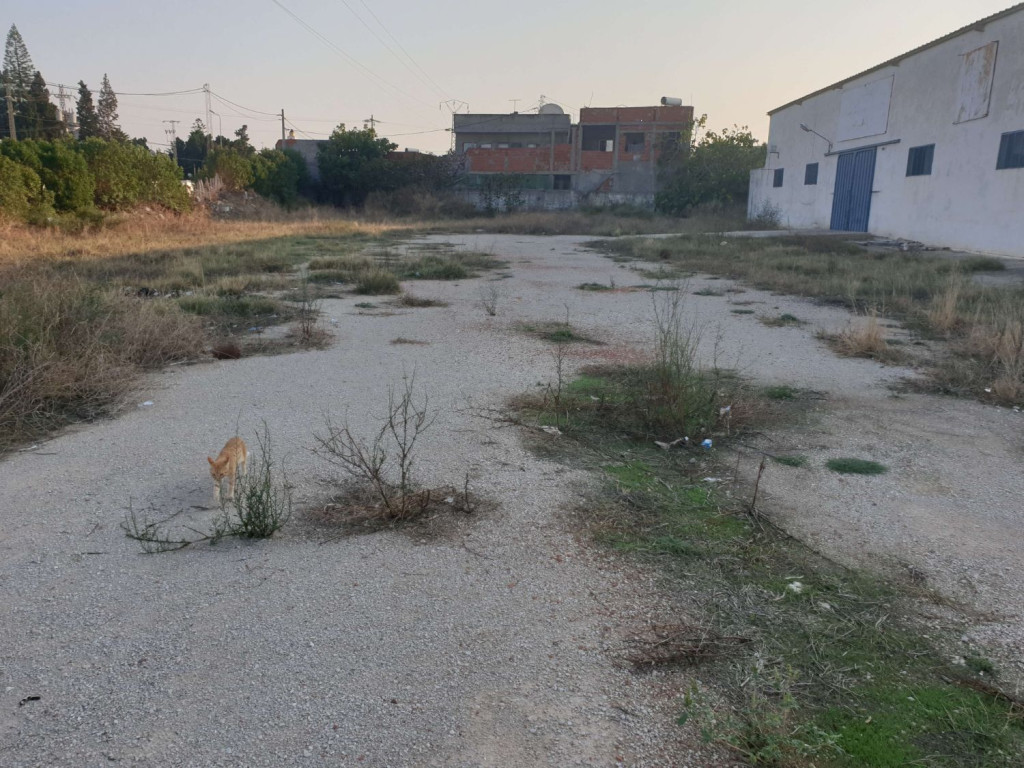 Fouchana&nbsp;Naassen&nbsp;Bureaux & Commerces&nbsp;Atelier,Garage&nbsp;D�p�t 500 m � naassen route khlidia