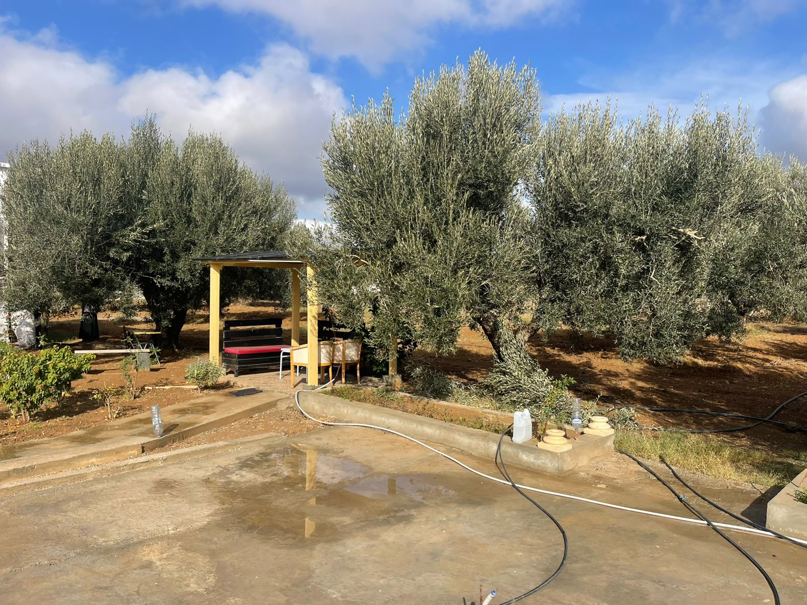 Hammamet&nbsp;Hammamet&nbsp;Terrain&nbsp;Terrain agricole&nbsp;A hammamet sud un lot de terrain de 2450 m2