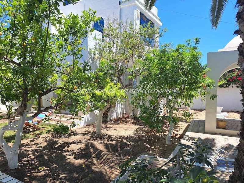 Hammamet&nbsp;Hammamet&nbsp;Location&nbsp;Maisons&nbsp;Dar les orangers