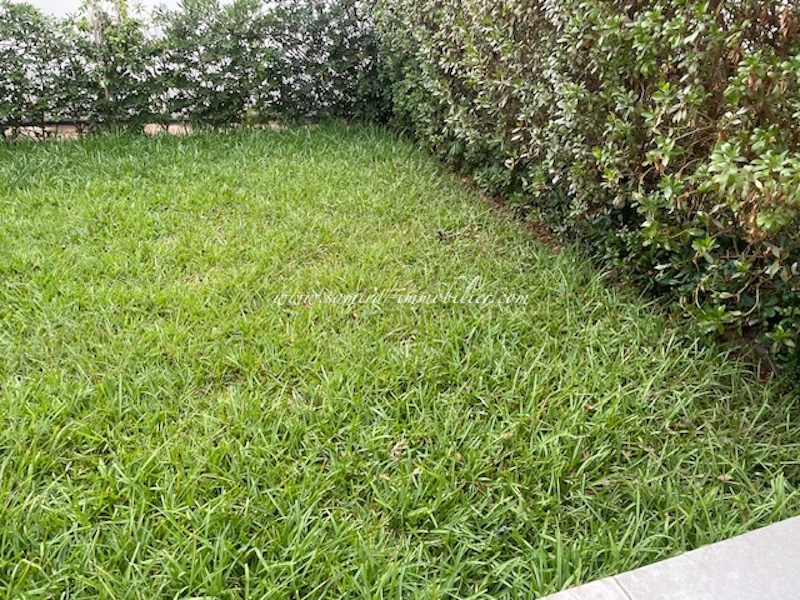 Hammamet&nbsp;Hammamet&nbsp;Location&nbsp;Appart. 2 pi�ces&nbsp;Appartement myriem