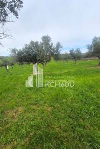 Mnihla&nbsp;Jardins d'el Menzah&nbsp;Vente&nbsp;Surfaces&nbsp;A  terrain ref483a