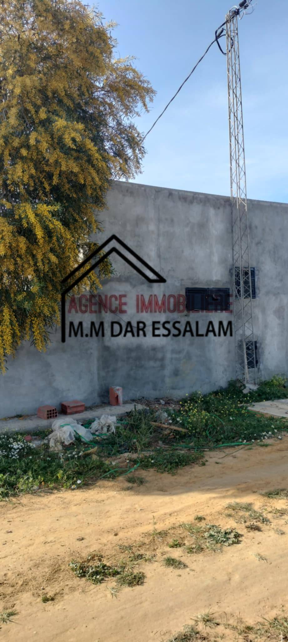 Kelibia&nbsp;Dar Allouche&nbsp;Terrain&nbsp;Terrain agricole&nbsp;Terrain agricole contenant une maison