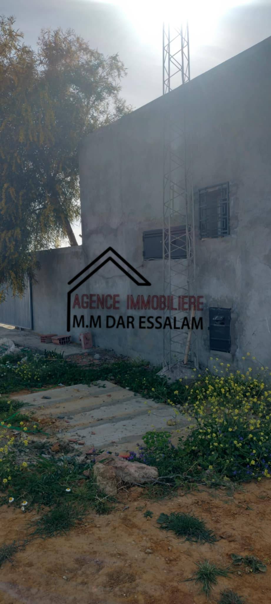 Kelibia&nbsp;Dar Allouche&nbsp;Terrain&nbsp;Terrain agricole&nbsp;Terrain agricole contenant une maison