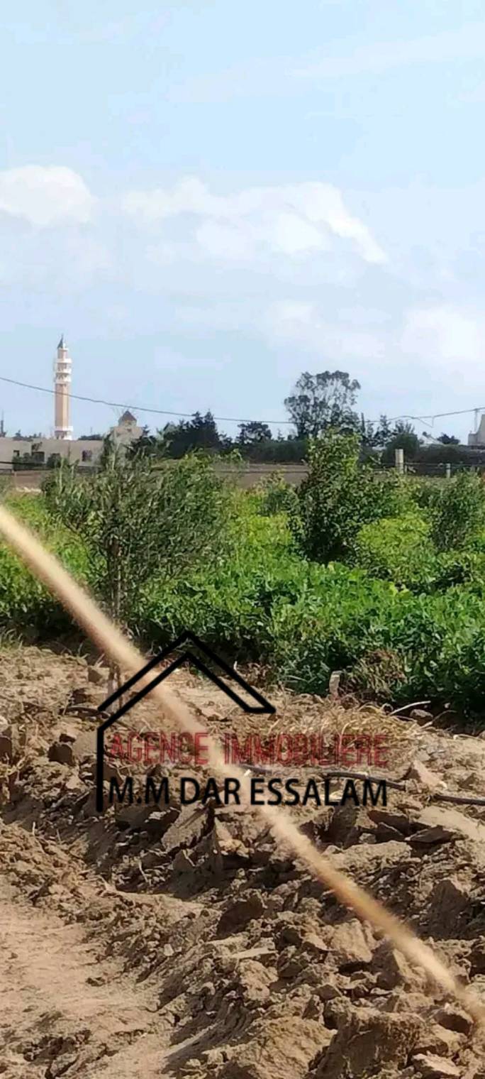 Kelibia&nbsp;Dar Allouche&nbsp;Terrain&nbsp;Terrain agricole&nbsp;Terrain agricole � dar allouche k�libia