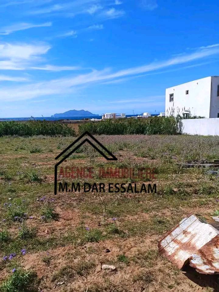 El Haouaria&nbsp;El Haouaria&nbsp;Terrain&nbsp;Terrain nu&nbsp;Terrain bonne opportunit�