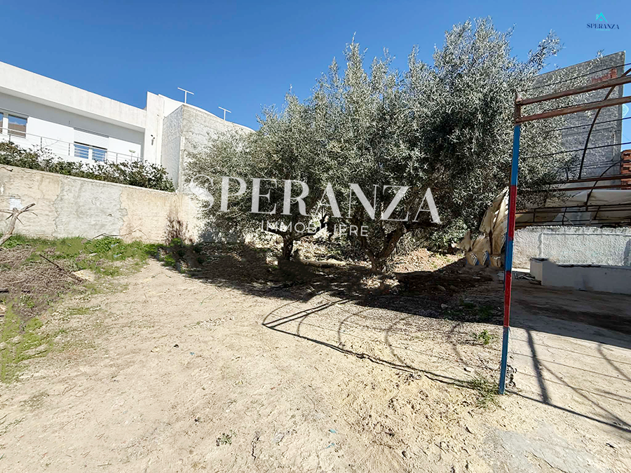 Hammamet&nbsp;Hammamet&nbsp;Vente&nbsp;Autre&nbsp;Terrain el yassamine